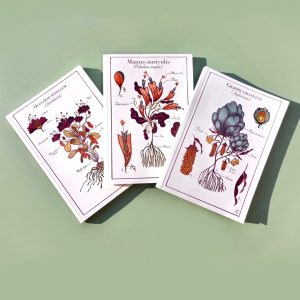 Carnets illustrés