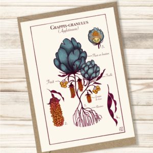 Carte "Grappis-granulus"